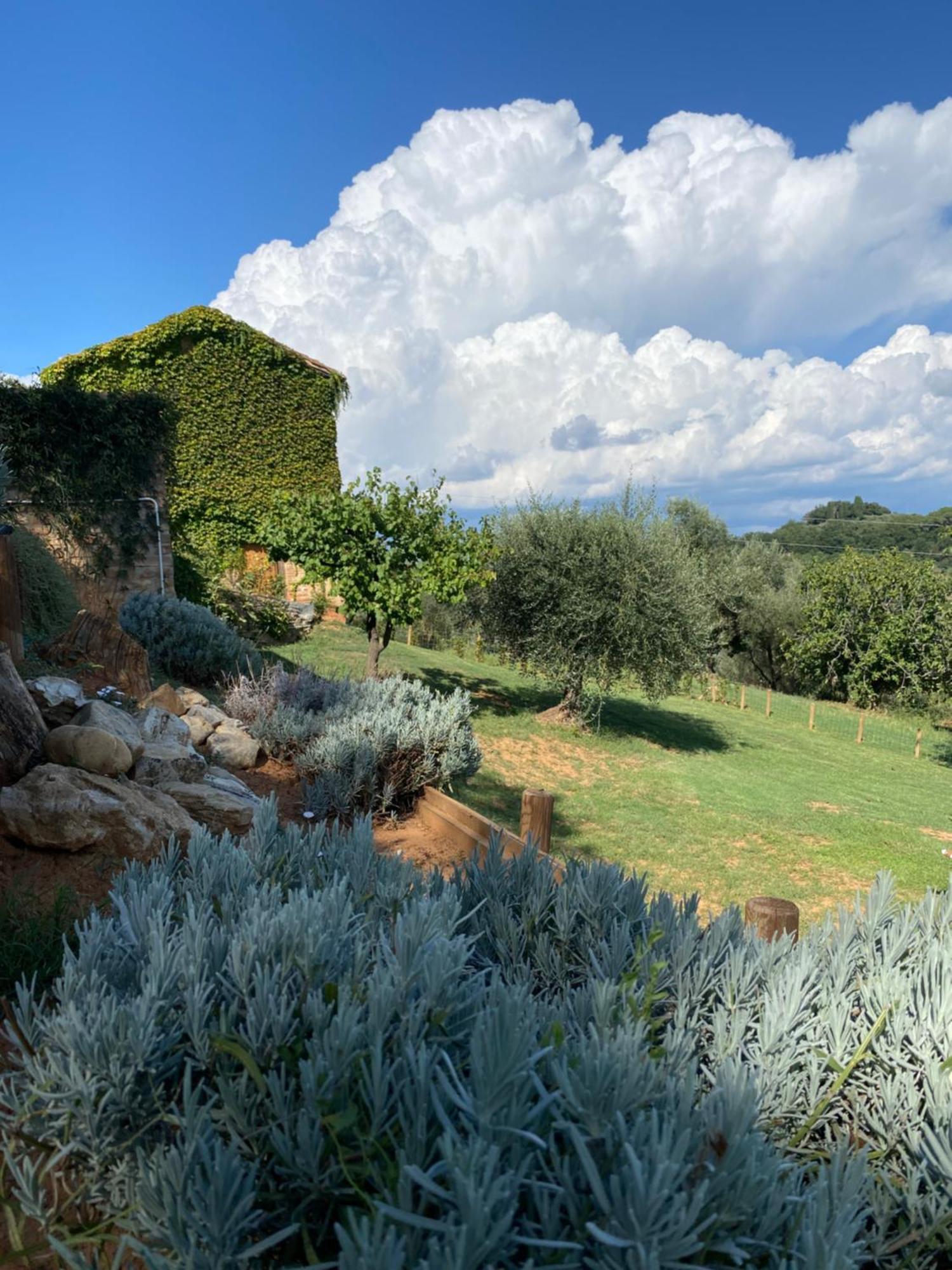 Palazzo Del Papa Country Suites Siena Exteriér fotografie