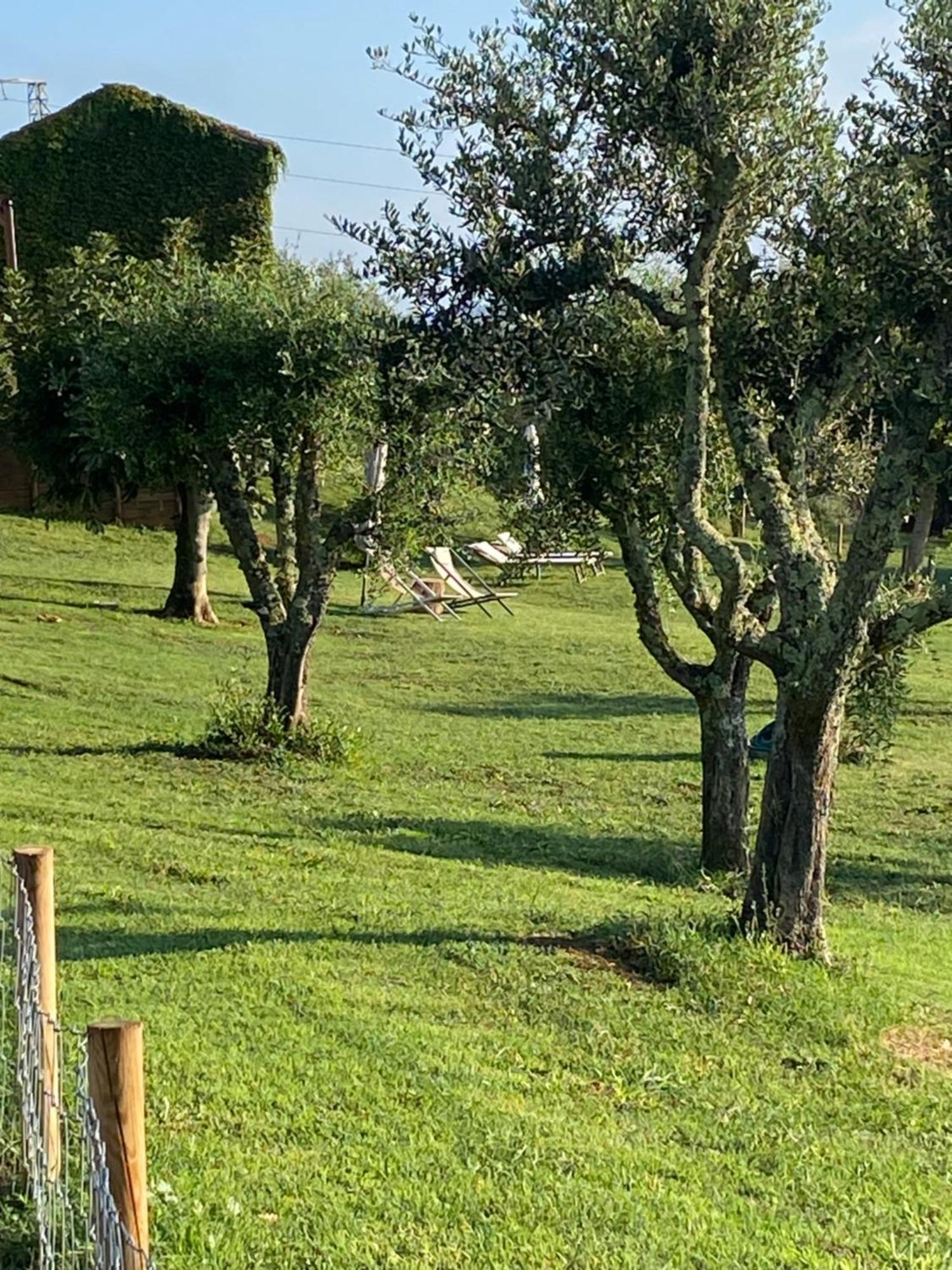 Palazzo Del Papa Country Suites Siena Exteriér fotografie